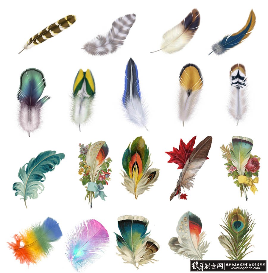 创意翅膀时尚元素psd孔雀花纹 鸟儿毛发 彩色羽毛笔刷,鸟的翅膀,彩色