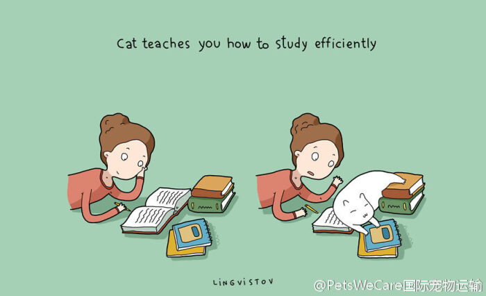 养猫的21种好处 4. 猫咪在旁捣乱,你不得不…-堆