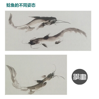 【国画技法】鲶鱼的画法@学畵
