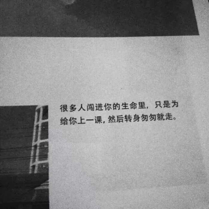 "这世上有很多人都会互相错过 或许我们也会 但我会永远记得你.