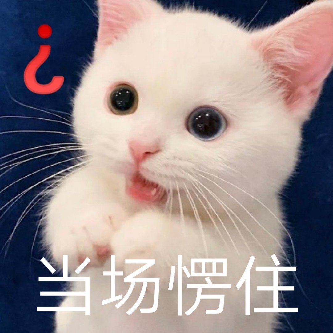 猫咪表情包 被萌化啦(////)