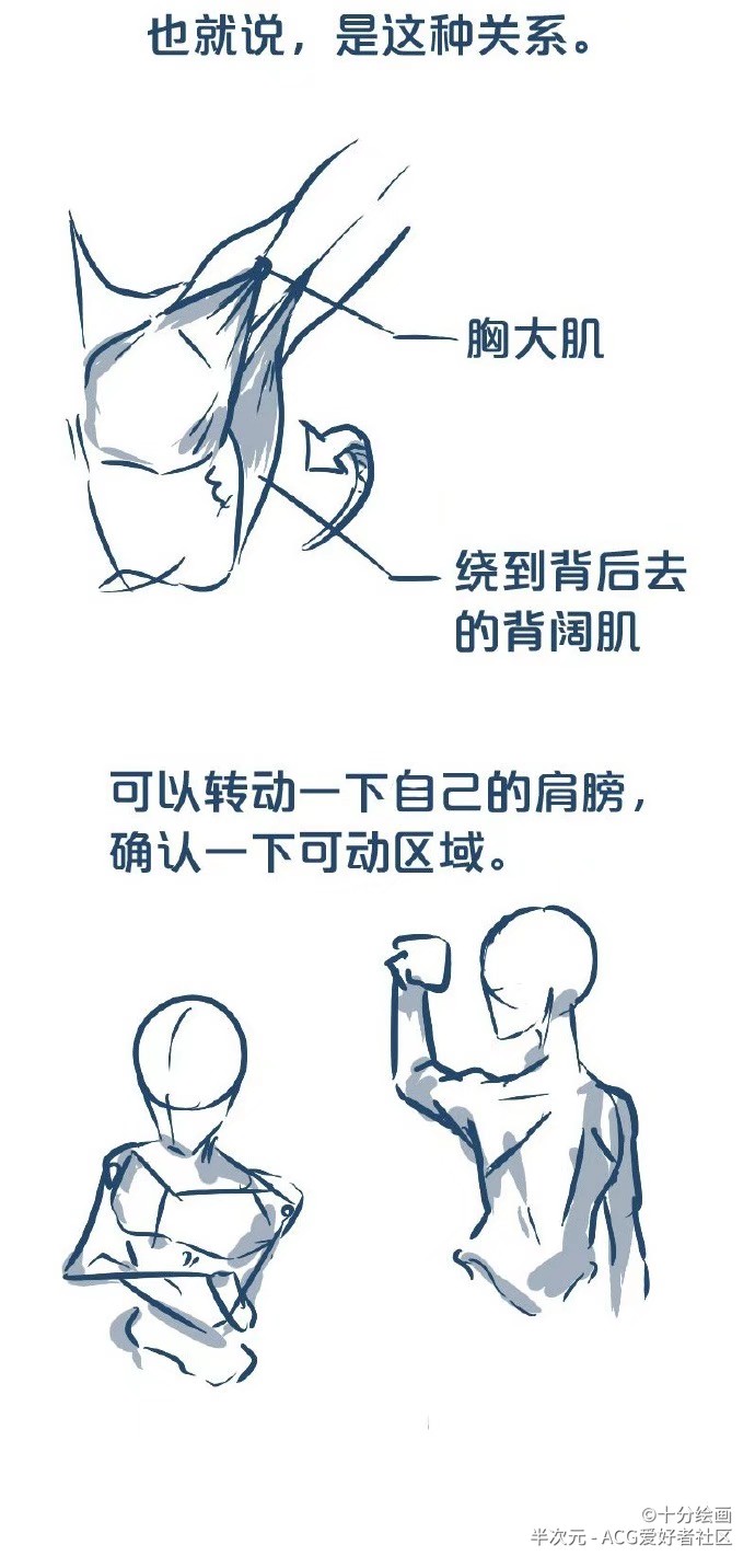 人体- 堆糖,美图壁纸兴趣社区