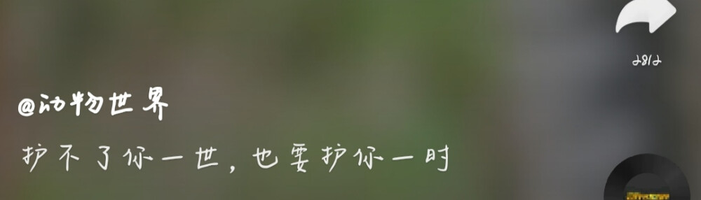 文案～ 