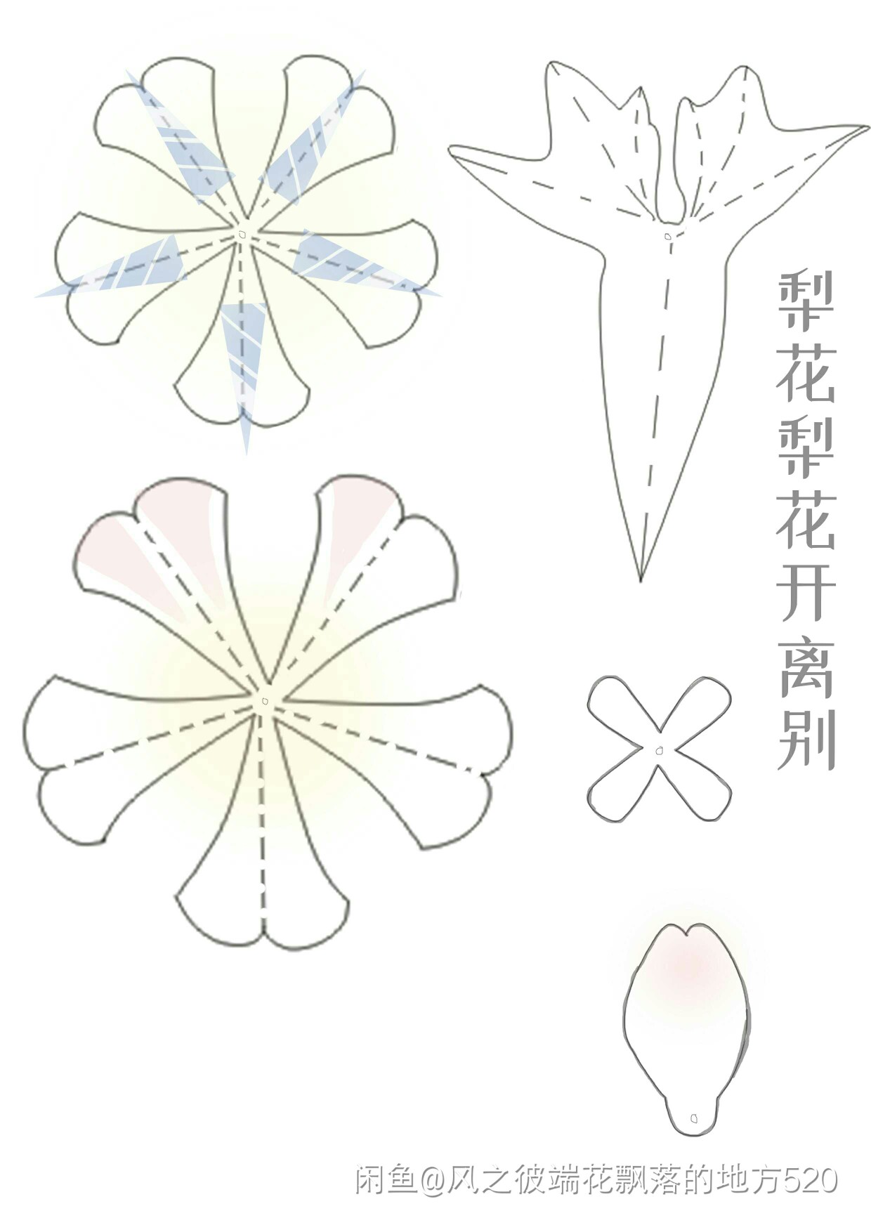 热缩片图纸/热缩图纸/牵牛花图纸