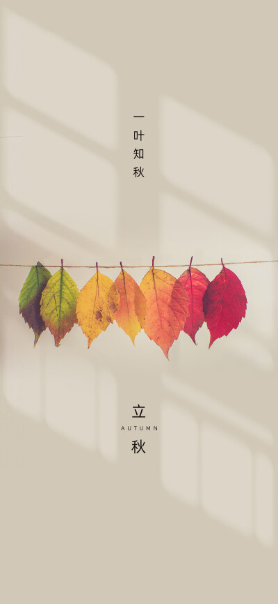 24节气手绘立秋