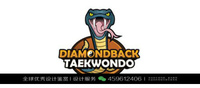 logo是蛇的衣服牌子,蛇图案的潮牌衣服 蛇 动物 logo设计标志品牌设计作品欣赏 (38)