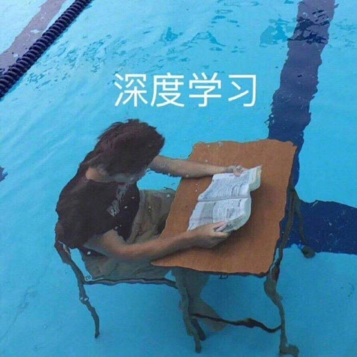 好好学习天天秃头