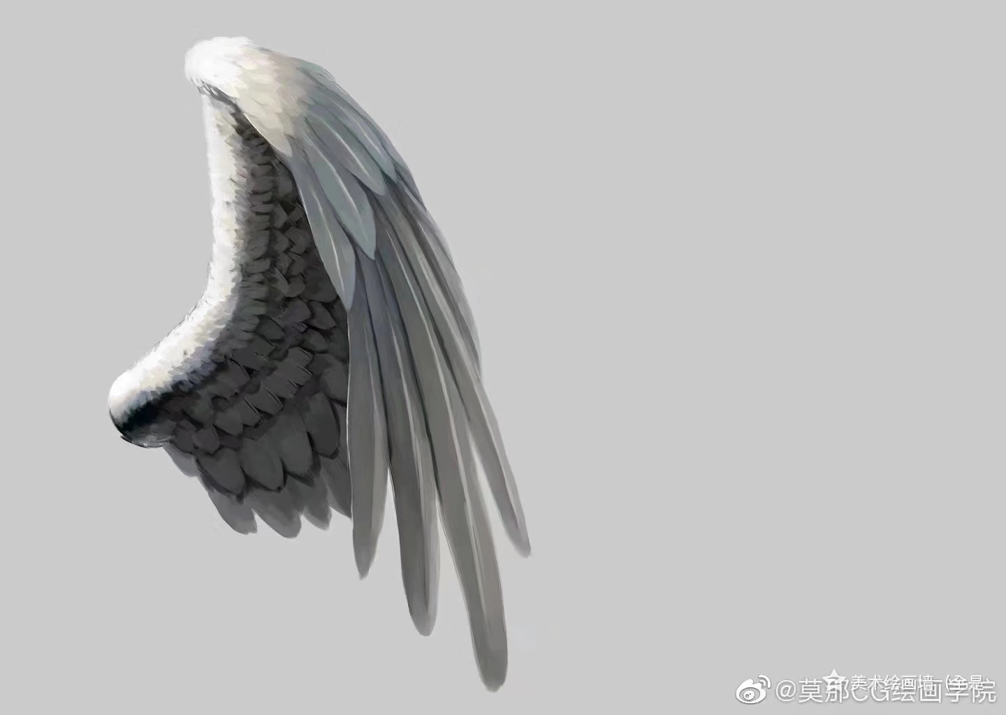 翅膀图片设计元素素材免费下载(图片编号:1611800)-六图网