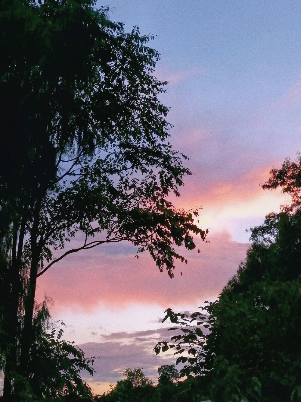 风景 背景 天空 ins风 壁纸