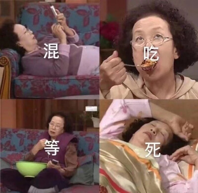 搞笑一家人表情包罗文姬真来气