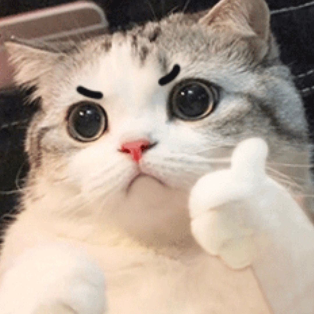 猫表情包竖大拇指棒