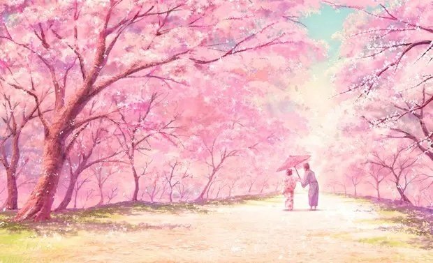 樱花浪漫