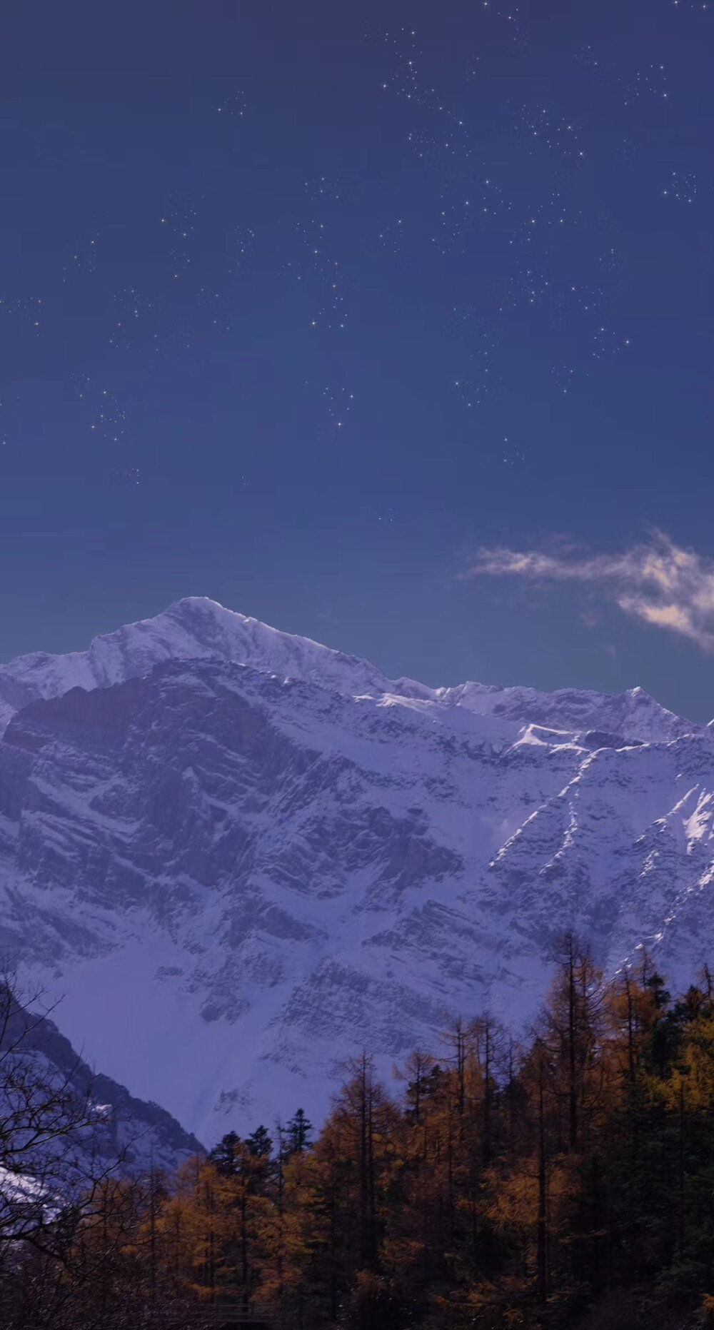 qq背景,聊天背景 堆糖,美图壁纸兴趣社区