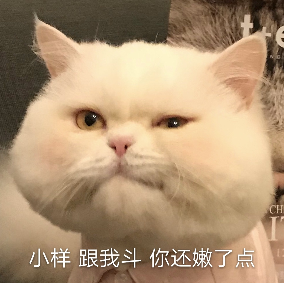 猫咪表情包‖又是被球球治愈的一天