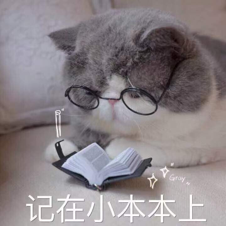 猫猫表情包 记在小本本上 记仇