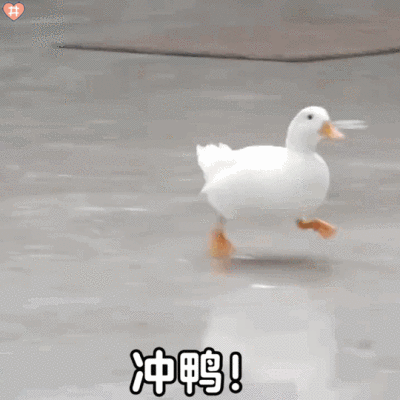 可爱鸭鸭表情包