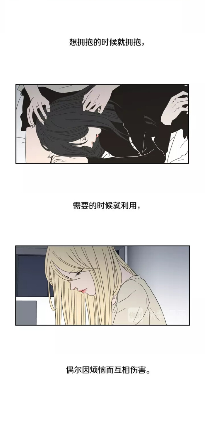 狐狸在说什么 堆糖 美图壁纸兴趣社区