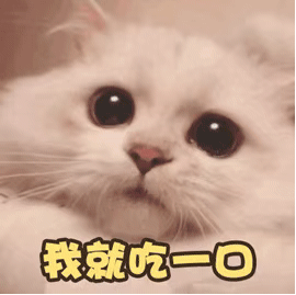猫猫表情包gif动图我就吃一口委屈巴巴 堆糖 美图壁纸兴趣社区