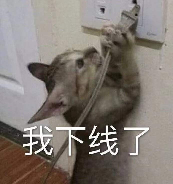 猫猫表情包我下线了拔网线