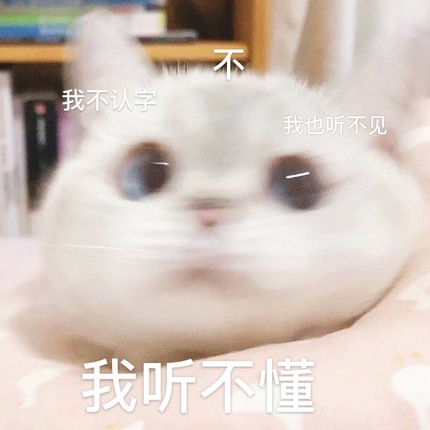 猫猫头像 表情包