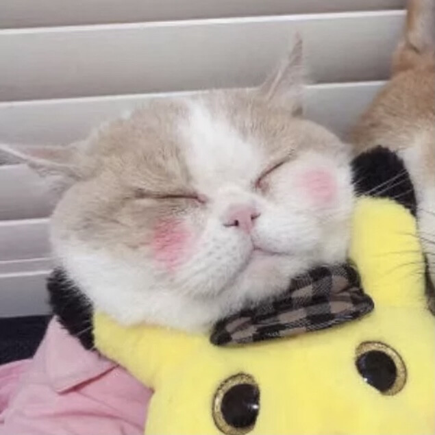 情侣头像情头猫咪头像