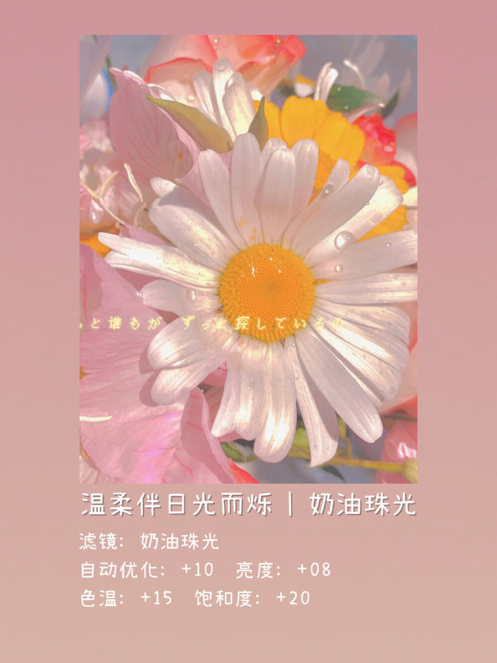 一甜相机滤镜调色合集 日系温柔奶油色