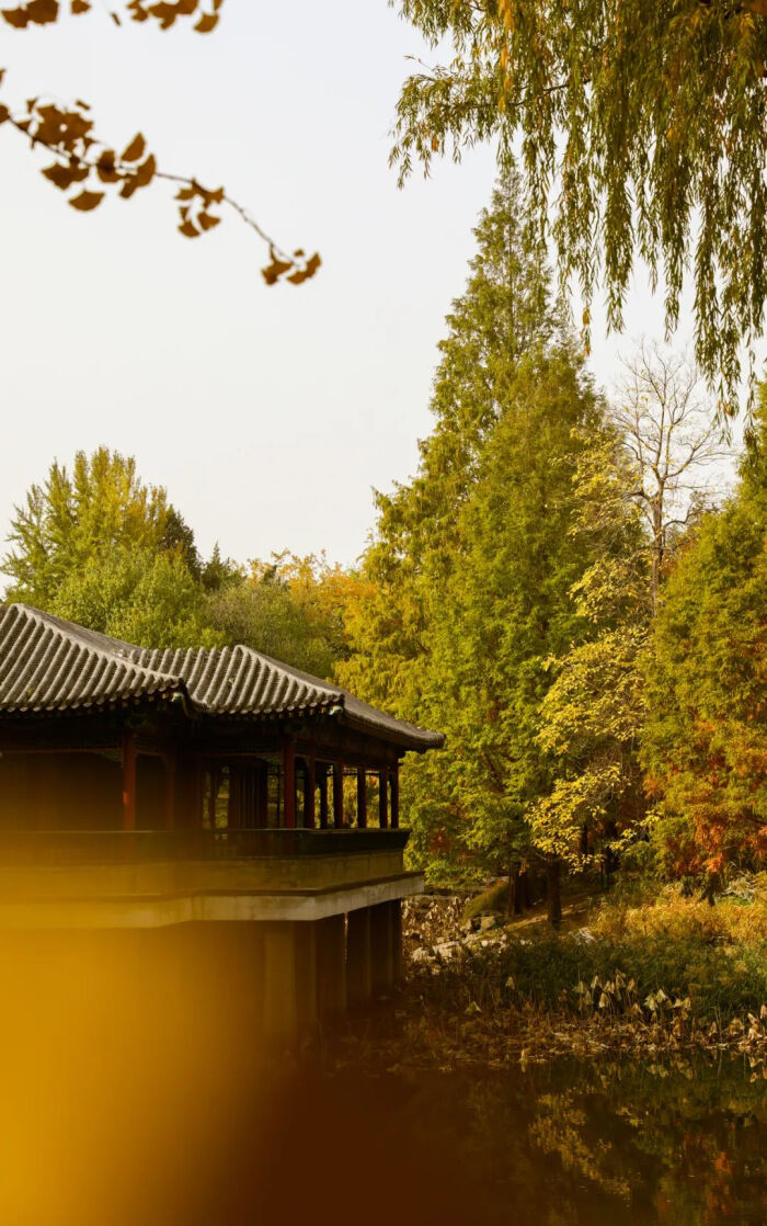 20201110222007_9b5c6.thumb.700_0.jpg