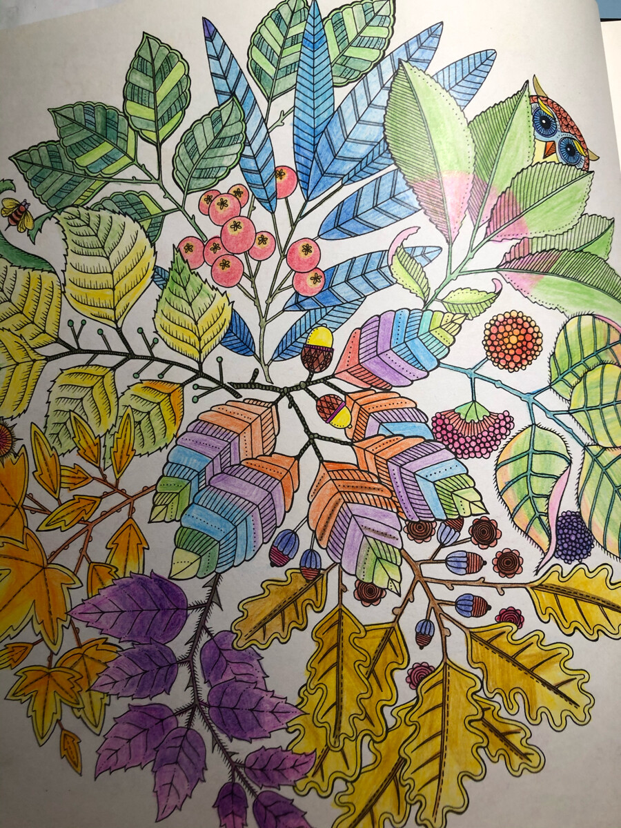 秘密花园
