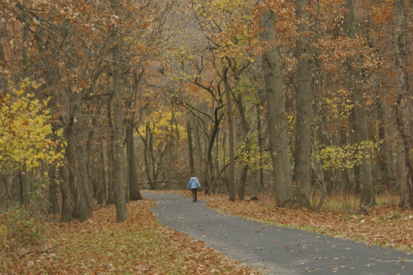 20201119000130_c85b0.thumb.600_0.jpg