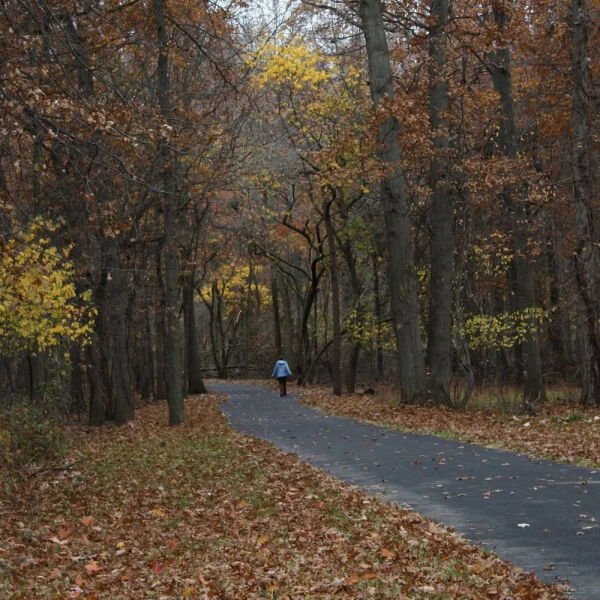 20201119000130_ce37b.thumb.600_0.jpg
