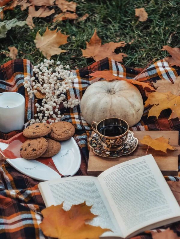 20201119000131_1f7a7.thumb.600_0.jpg