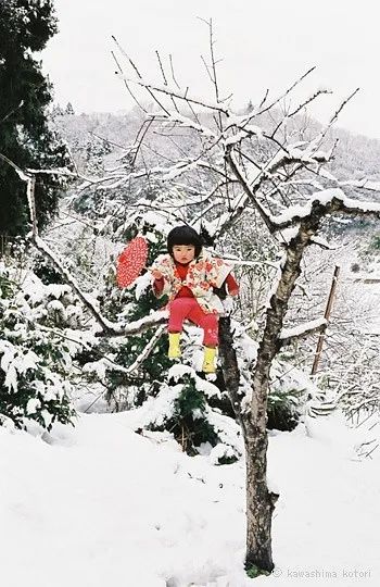 20201120002433_3a44a.thumb.600_0.jpg