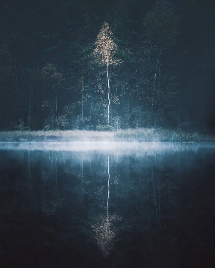 20201126225302_a74f9.thumb.700_0.jpg