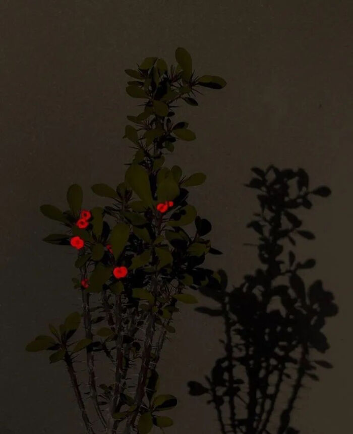 20201126225303_28d77.thumb.700_0.jpg