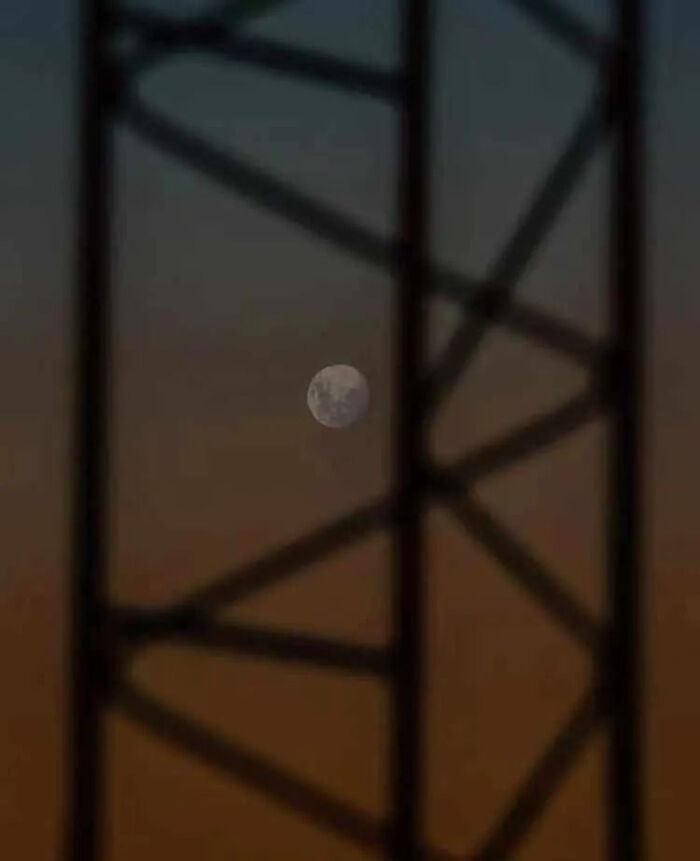 20201126225303_b9e2e.thumb.700_0.jpg