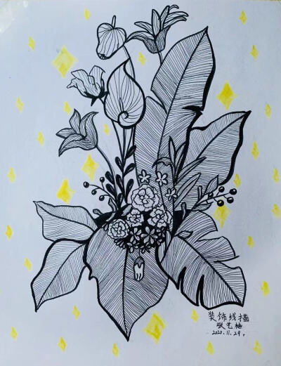 花卉线描图片