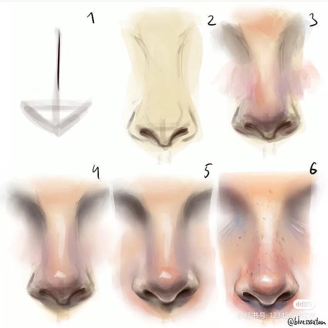 鼻の解剖学3Dモデル - TurboSquid 524346