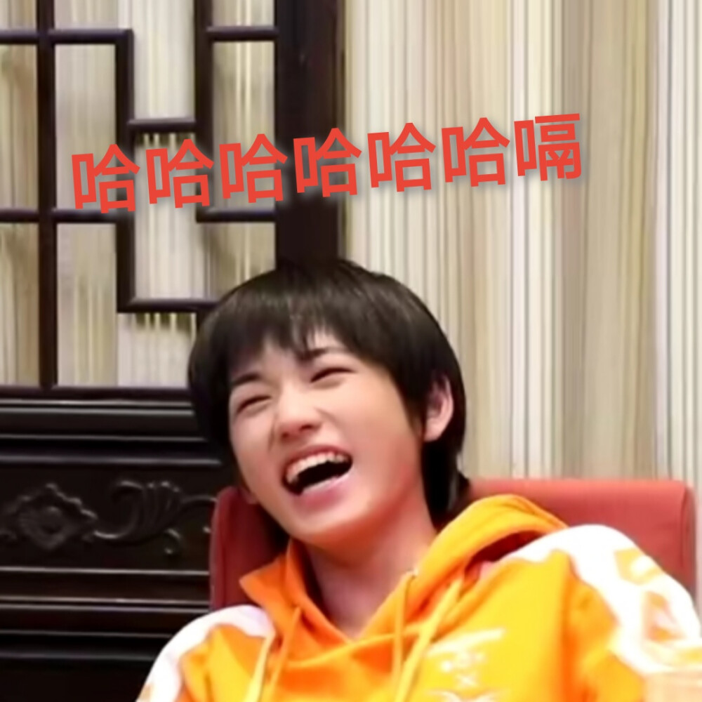 小宋老师表情包!自创!