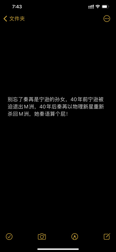 备忘录 文字 文案 小说《夫人你马甲又掉了》程隽x秦苒