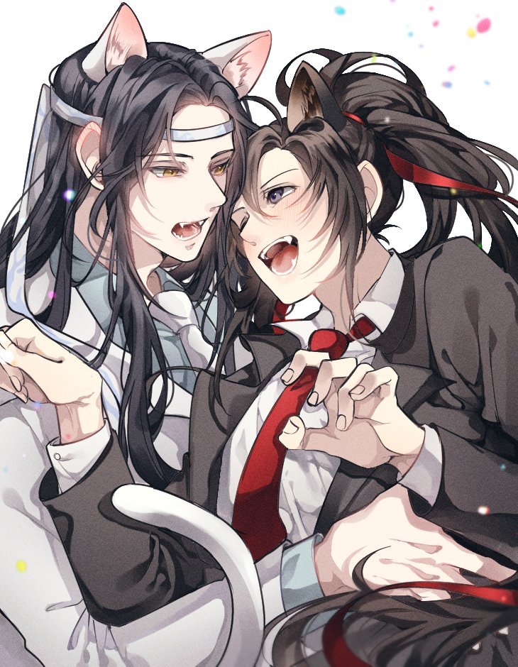 魔道祖师忘羡