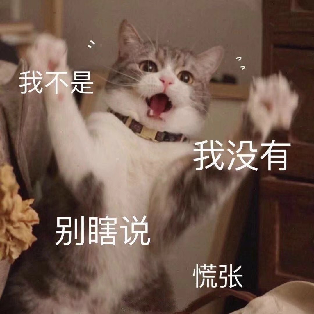 猫猫狗狗表情包 可爱