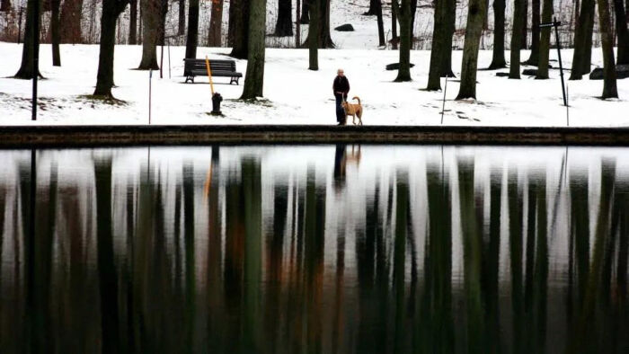 20201225085738_56ae3.thumb.700_0.jpg