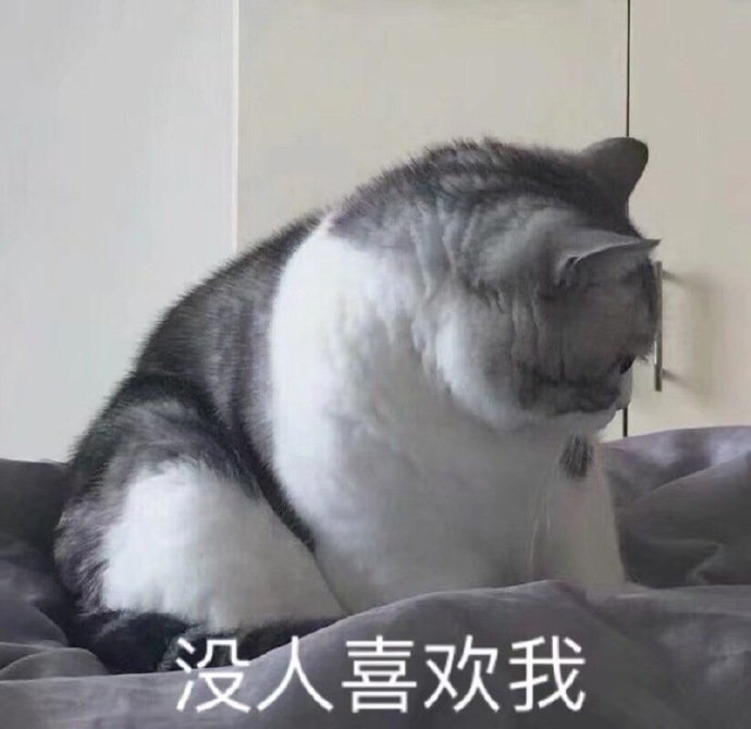 猫猫表情包 没人喜欢我