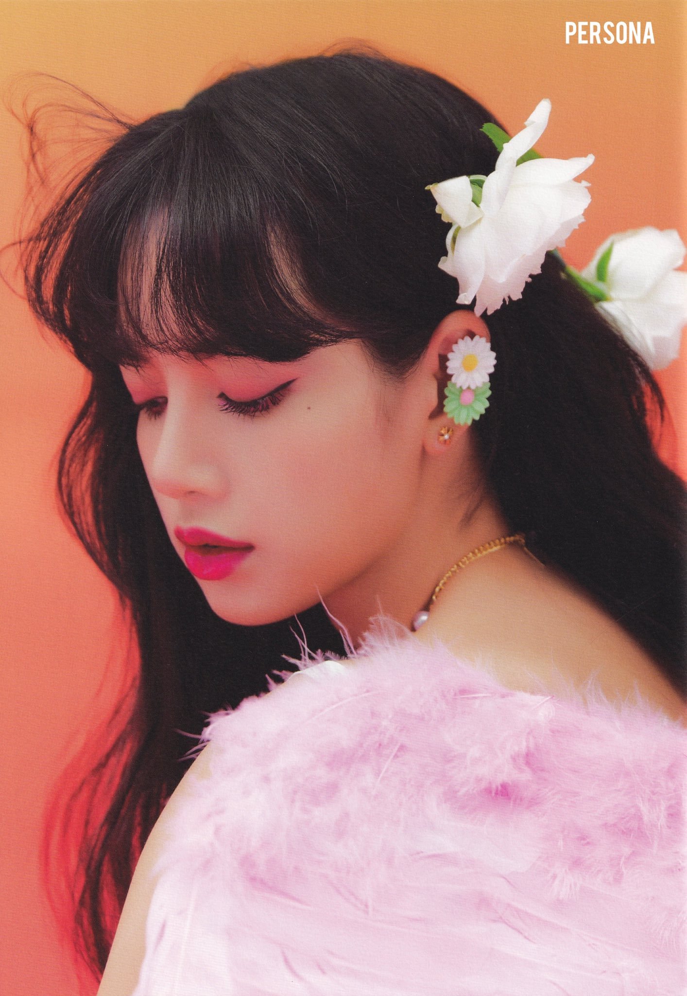 lisa吧官博怎么买专辑