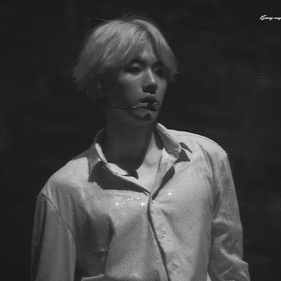 不死鳥殺死上尉悲劇降臨 堆糖 美图壁纸兴趣社区