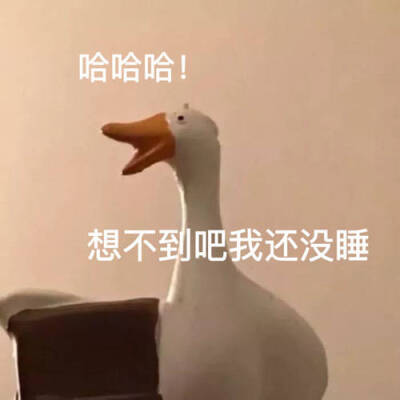 真诚 表情包