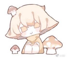 菇菇
