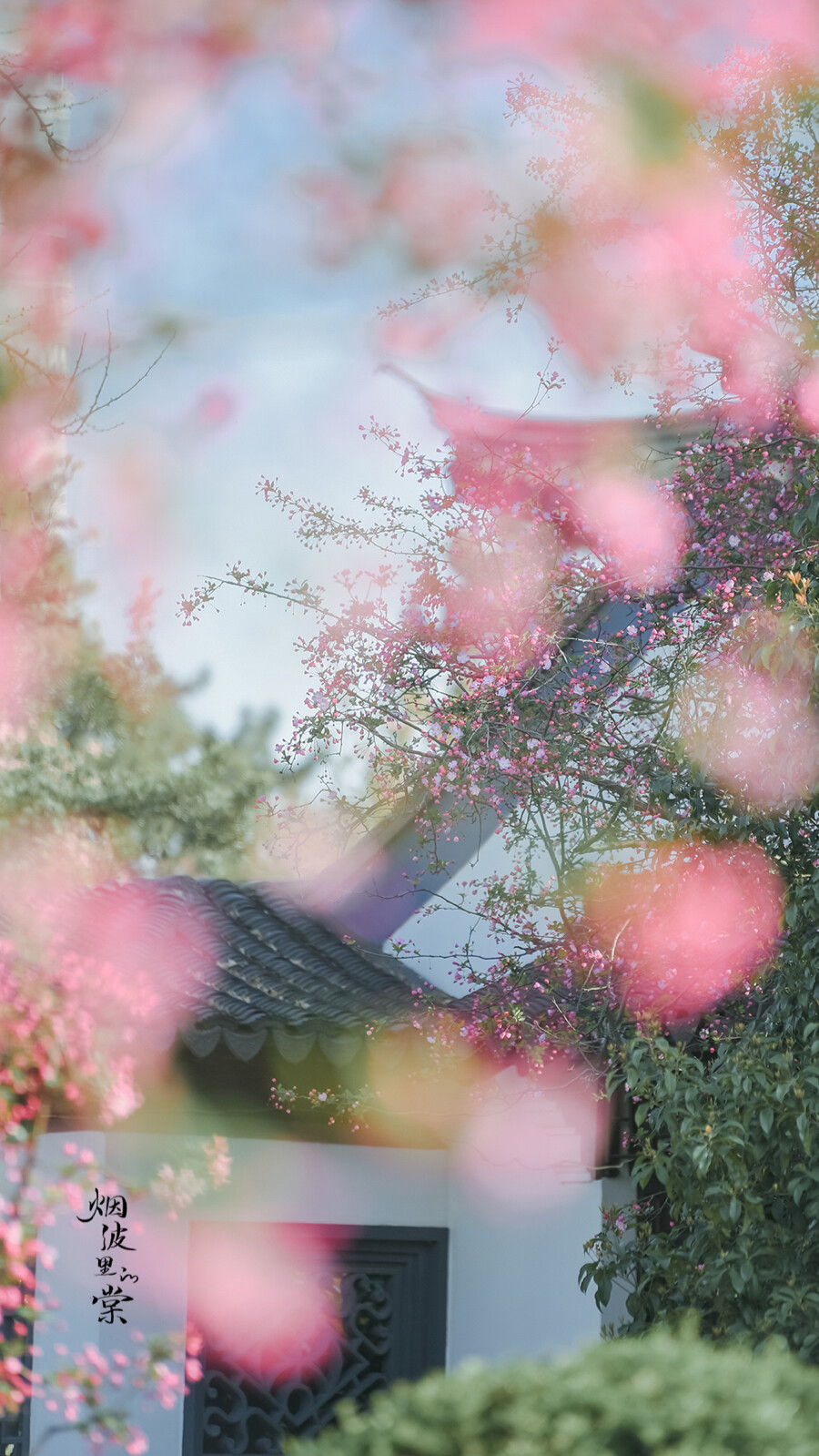 风景 花草 - 堆糖,美图壁纸兴趣社区