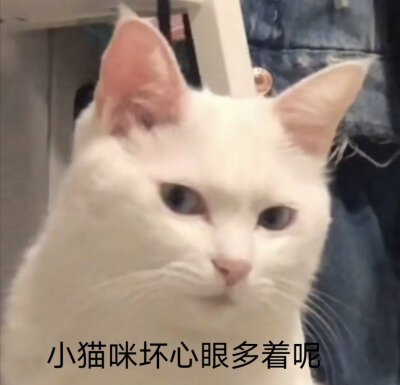 机灵鬼表情