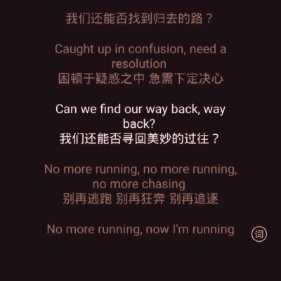 背景图林鸽 堆糖 美图壁纸兴趣社区
